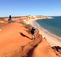 book a francois peron national park tour