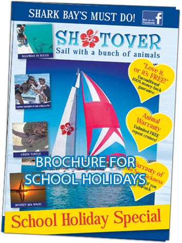 Monkey Mia Wildsights School Holiday Cruise Brochure